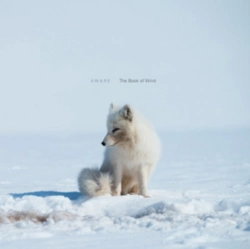 Capa do artigo The Book of Wind - CD