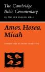 The Books Of Amos, Hosea, Micah - Preview