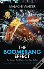 Capa do artigo The Boomerang Effect