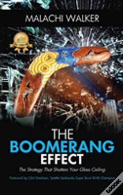 Capa do artigo The Boomerang Effect