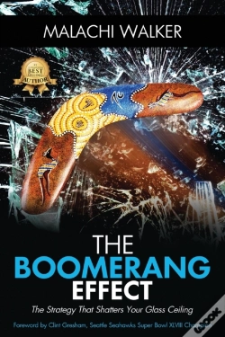 Capa do artigo The Boomerang Effect