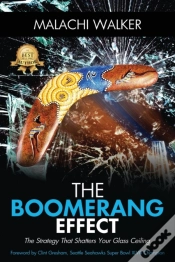 Capa do artigo The Boomerang Effect