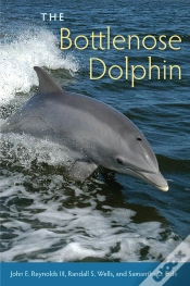 Capa do artigo The Bottlenose Dolphin