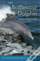 The Bottlenose Dolphin
