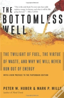 Capa do artigo The Bottomless Well
