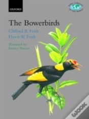 Capa do artigo The Bowerbirds