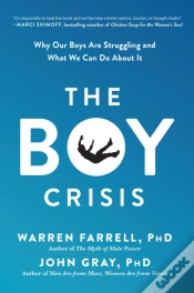 Capa do artigo The Boy Crisis