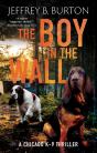 The Boy In The Wall - Preview