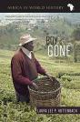 The Boy Is Gone - Preview