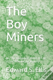 Capa do artigo The Boy Miners