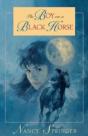 The Boy On A Black Horse - Preview