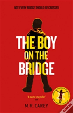Capa do artigo The Boy On The Bridge