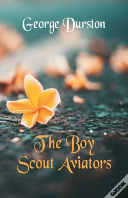 Capa do artigo The Boy Scout Aviators