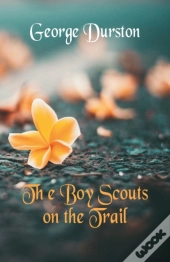 The Boy Scouts On The Trail