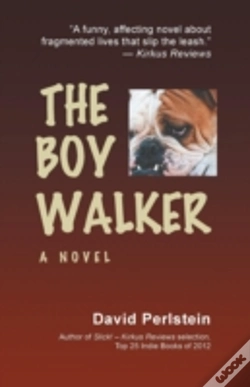 Capa do artigo The Boy Walker