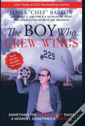 Capa do artigo The Boy Who Grew Wings