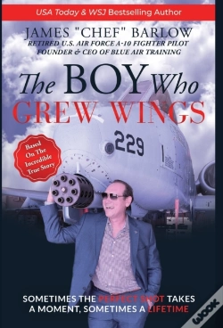Capa do artigo The Boy Who Grew Wings