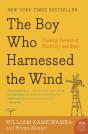 The Boy Who Harnessed The Wind - Preview