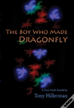 Capa do artigo The Boy Who Made Dragonfly