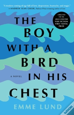 Capa do artigo The Boy With A Bird In His Chest