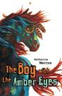 The Boy With The Amber Eyes - Preview