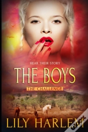 Capa do artigo The Boys: Reverse Harem Romance