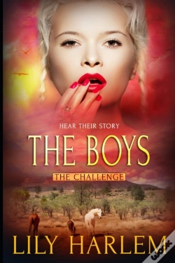 Capa do artigo The Boys: Reverse Harem Romance