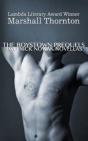 The Boystown Prequels: Two Nick Nowak No - Preview