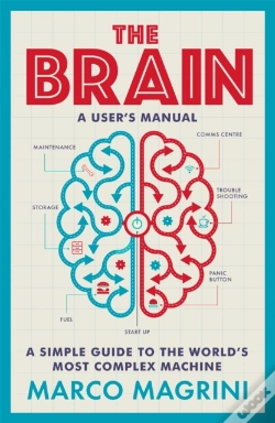 Capa do artigo The Brain: A User'S Manual