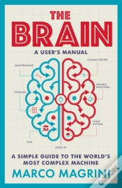 Capa do artigo The Brain: A User