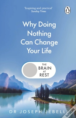 Capa do artigo The Brain At Rest