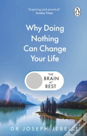 Capa do artigo The Brain At Rest