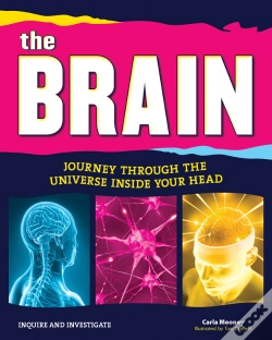 Capa do artigo The Brain