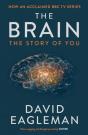 The Brain - Preview
