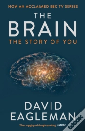 Capa do artigo The Brain
