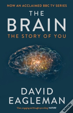 Capa do artigo The Brain