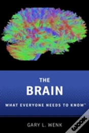 Capa do artigo The Brain