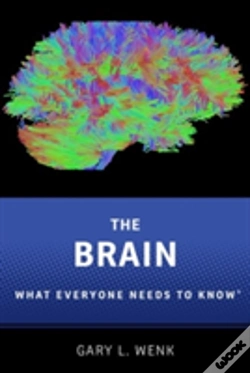 Capa do artigo The Brain