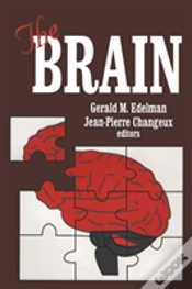 Capa do artigo The Brain