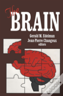 The Brain