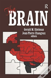 Capa do artigo The Brain