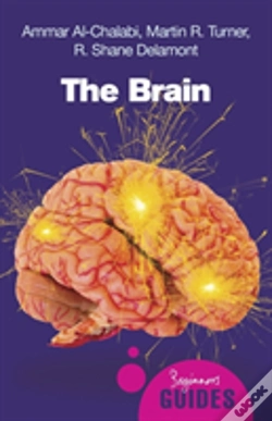 Capa do artigo The Brain
