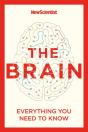 The Brain - Preview