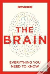 Capa do artigo The Brain