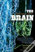 The Brain
