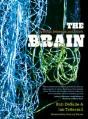 The Brain - Preview