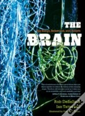 The Brain