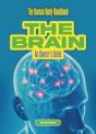 The Brain - Preview