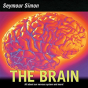 The Brain - Preview