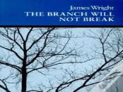 The Branch Will Not Break